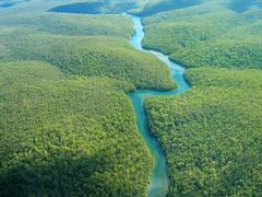 Nautica Honduras Frühbucher Rabatt & Kreuzfahrt Restplätze - Amazonas Kreuzfahrt ab/bis Miami Amazonas Kreuzfahrt ab/bis Miami