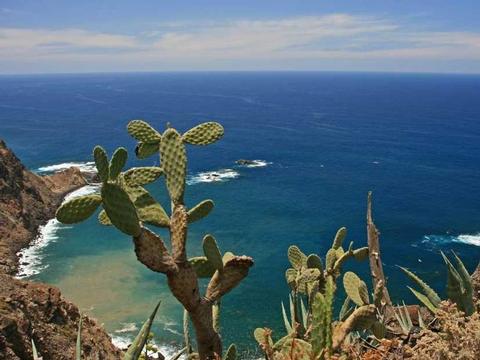 Atlantik Kreuzfahrt ab Santa Cruz de Tenerife bis Lissabon