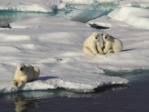 Expedition Spitzbergen-Abenteuer ab Longyearbyen bis Tromsø