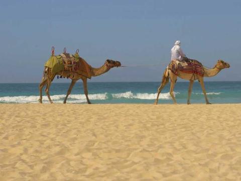 Orient u. Emirate Kreuzfahrt ab Dubai bis Abu Dhabi