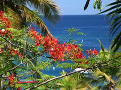 nicko cruises Honduras Reise Westliche Karibik Kreuzfahrt ab Cozumel bis Willemstad
