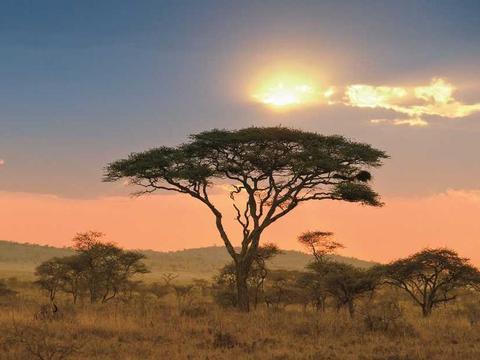 Afrika  ab Singapur bis Southampton