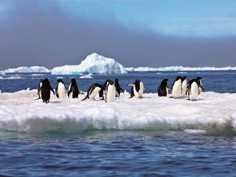Überwältigende Antarktis mit National Geographic