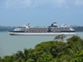 Celebrity Infinity