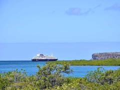 Silver Galapagos