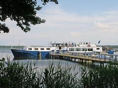 Gretha van Holland