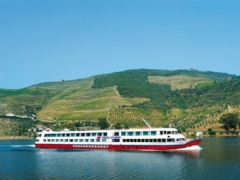 Portugal Reise Spektakuläre Weinberge