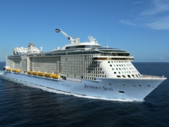Vom Big Apple zu den Bahamas